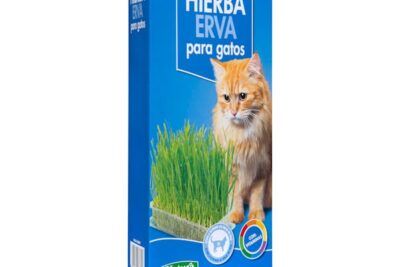 Hierba para gatos Natura